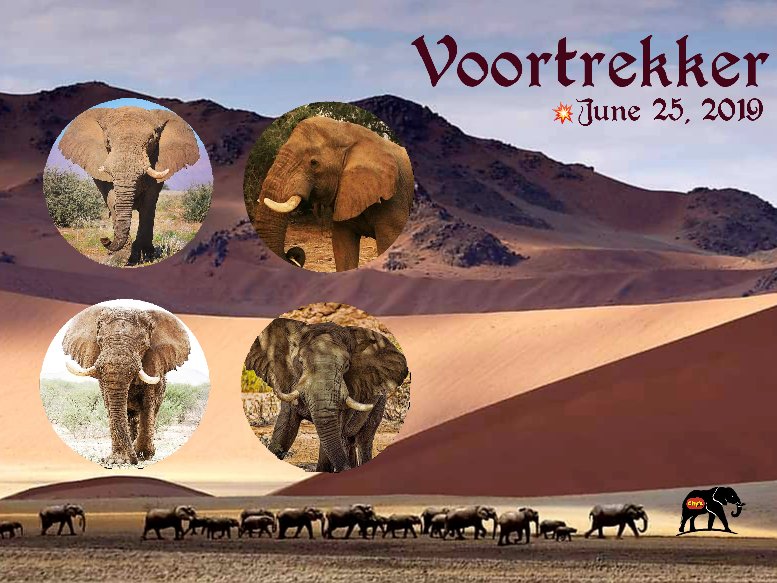 CitysFElephants's tweet photo. #MEFT #Namibia has received immense criticism 🌐 for this so-called problem elephant shooting from #VOORTREKKER. They have learned something & according to MEFT NO more DESERT Elephant Bulls should be shot.
🖤 VOORTREKKER
♰ June 25, 2019
💥as a problem hunting trophy https://t.co/mGBHDT0l77