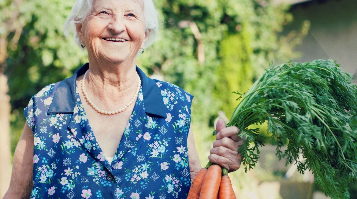 ScienceNews (@sciencenewsdk) on Twitter photo Researchers have compared eight dietary patterns to determine which are associated with the most years of life without chronic #disease. A researcher behind the study says that a healthy #diet minimising ultraprocessed #food is generally associated with a long life free of Researchers have compared eight dietary patterns to determine which are associated with the most years of life without chronic #disease. A researcher behind the study says that a healthy #diet minimising ultraprocessed #food is generally associated with a long life free of