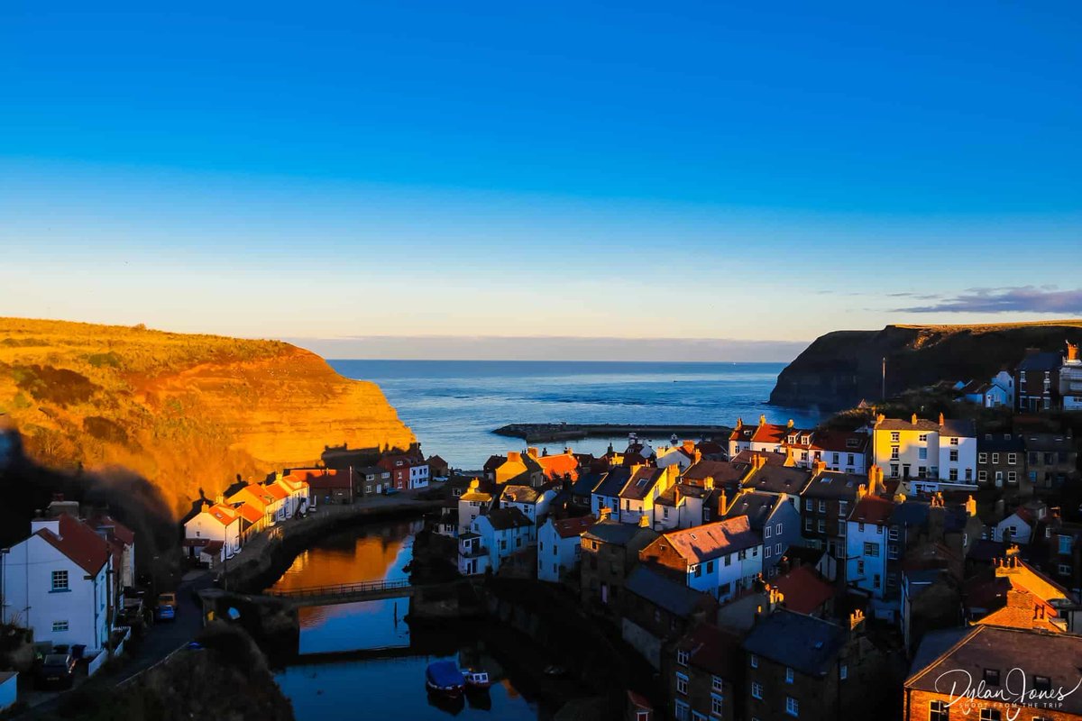 Shoot from the Trip tweet media