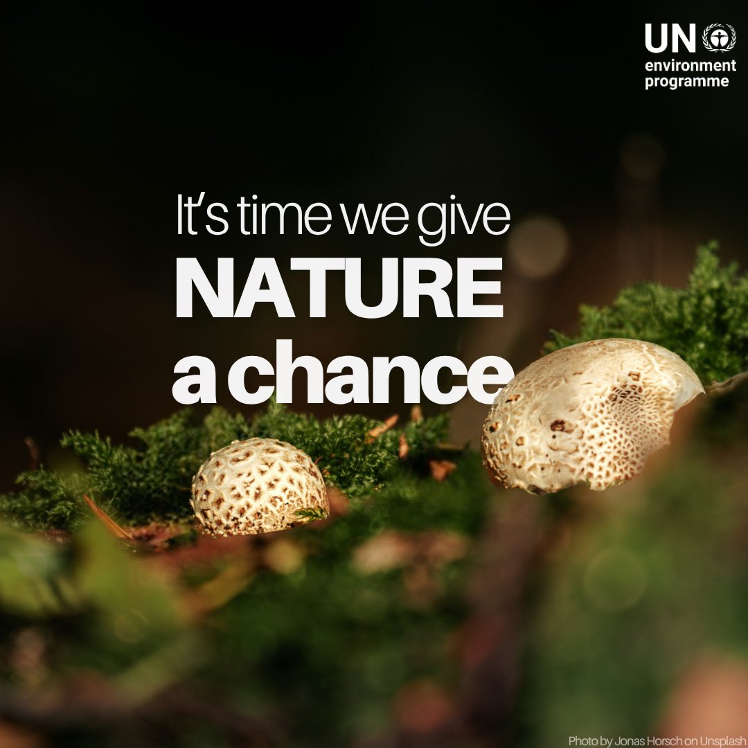 Turning back time isn’t an option, but:

🐝 Letting gardens go wild is
🌳 Planting trees is
🌱 Greening our cities is
🌊 Reclaiming clean rivers and beaches is
🌍 Being the #GenerationRestoration is. 

#MondayMotivation