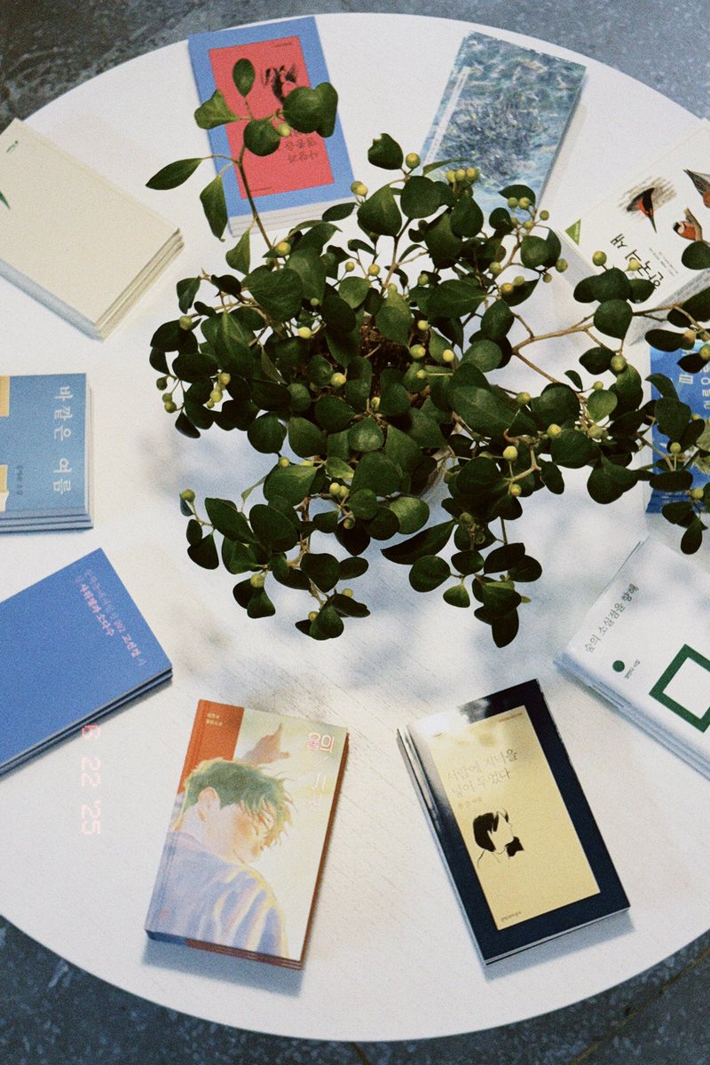 instagram.com/poeta_sokcho