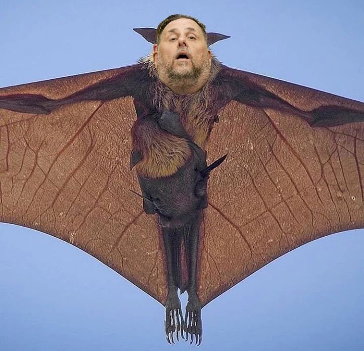 ÚLTIMA HORA‼️Els mossos d'esquadra activen el dron d'última generació anomenat "Ull de Falcó " per fer la vigilància i protecció de la família reial a l'Abadia de Montserrat.