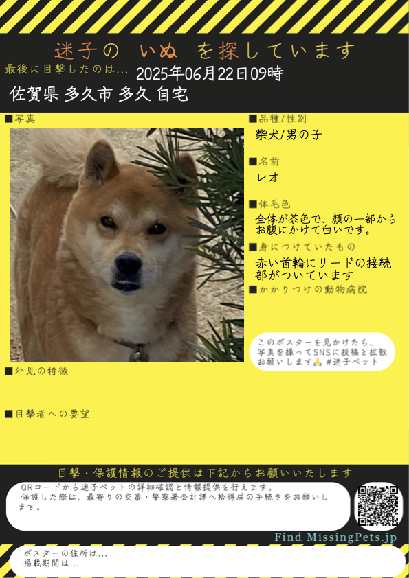 📢拡散希望
佐賀県多久市 で いぬ が迷子です

名前はレオ
柴犬の男の子

[詳細]
⬇️目撃・保護等の情報をお届けください🙏
find-missing-pets.jp/dashboard/esca…

[検索ワード]
#迷い犬 #犬好きさんと繋がりたい
FindMissingPets 🐕 迷子犬 迷子ペット 探しています