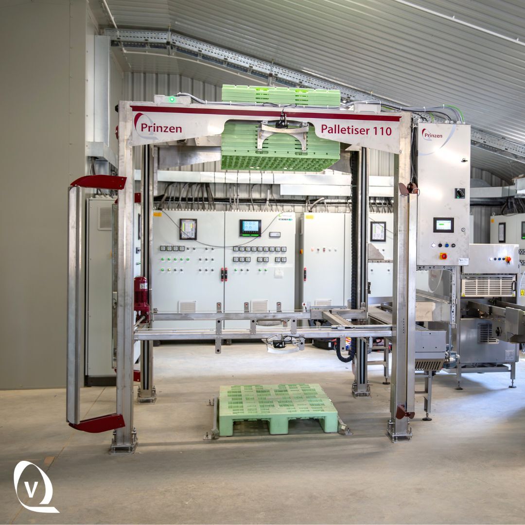 🥚 No More Backbreaking Work on the Egg Line!

“I used to have a lifting table, I had to carry each stack of trays, which hurt my back... With the Palletiser 110, trays are automatically stacked on the pallet, so I no longer have to lift the eggs myself.” – The Moison Family.