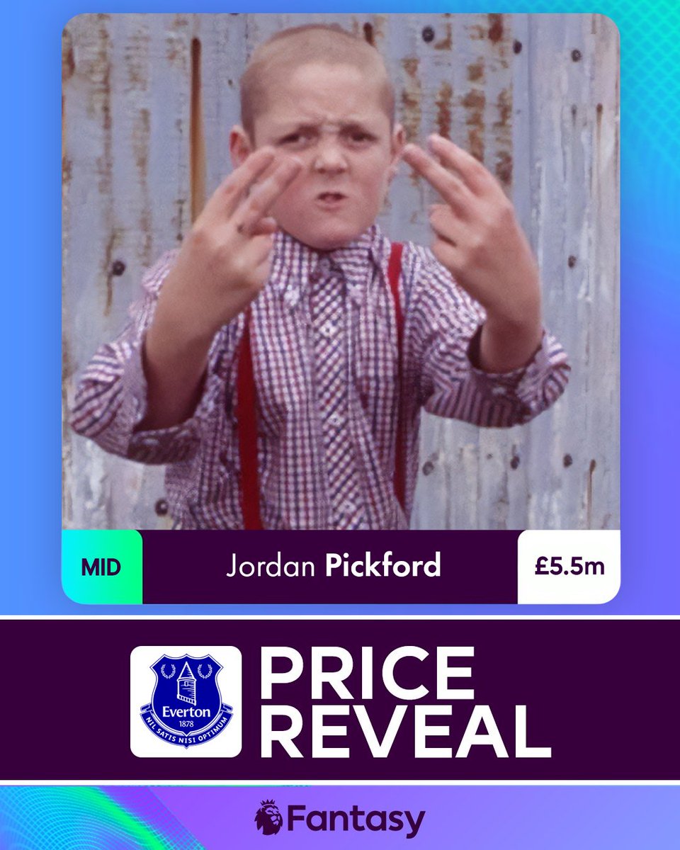 Alex Vollo tweet media