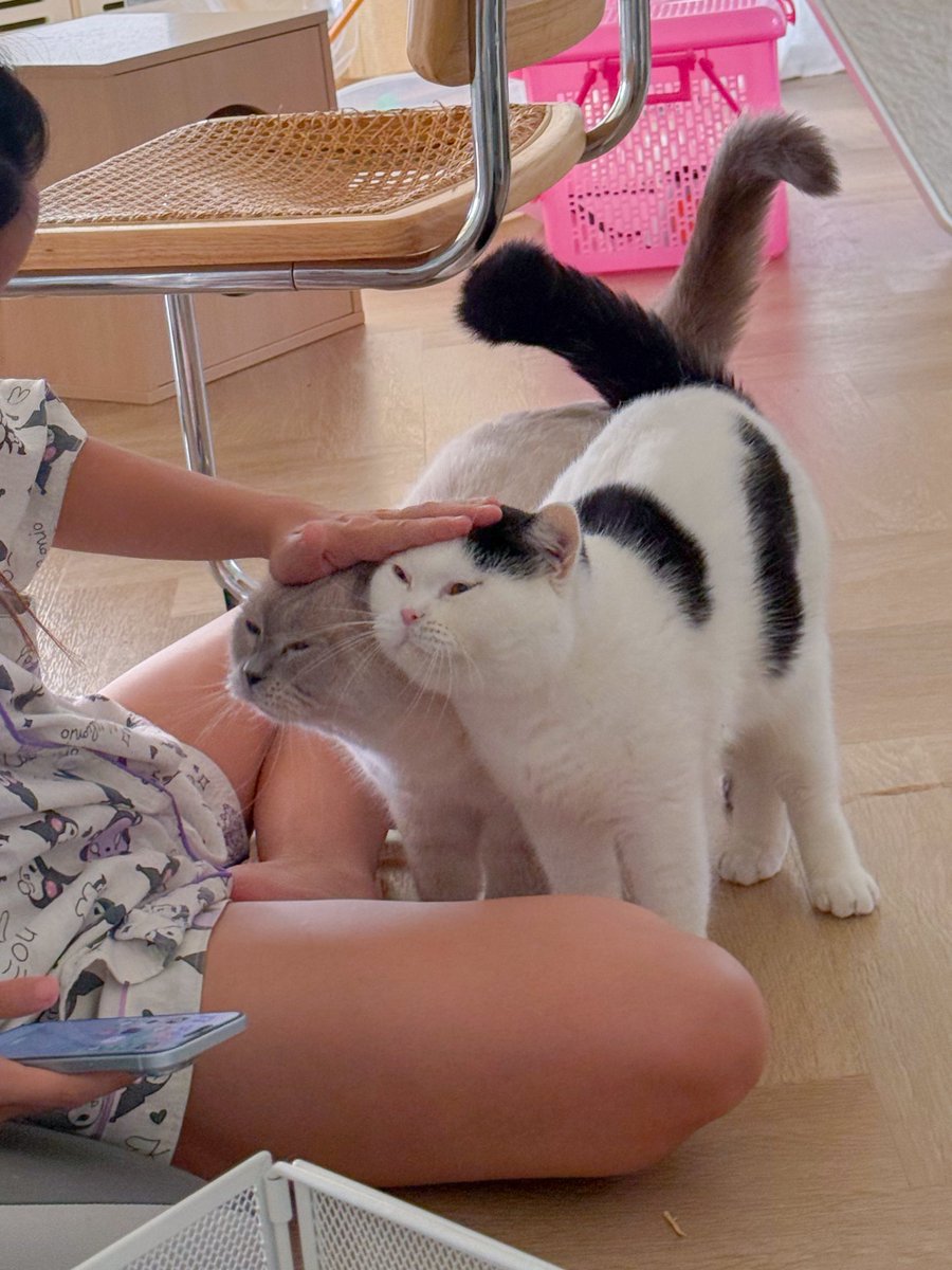 แข่งกันอ้อนน้องเขมสุด หมันไส้!