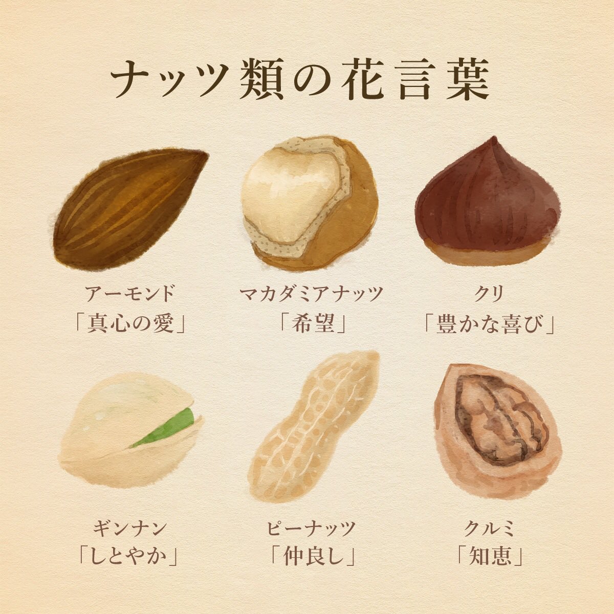 hanacotoba_jp's tweet image. きょう7月22日は《ナッツの日》