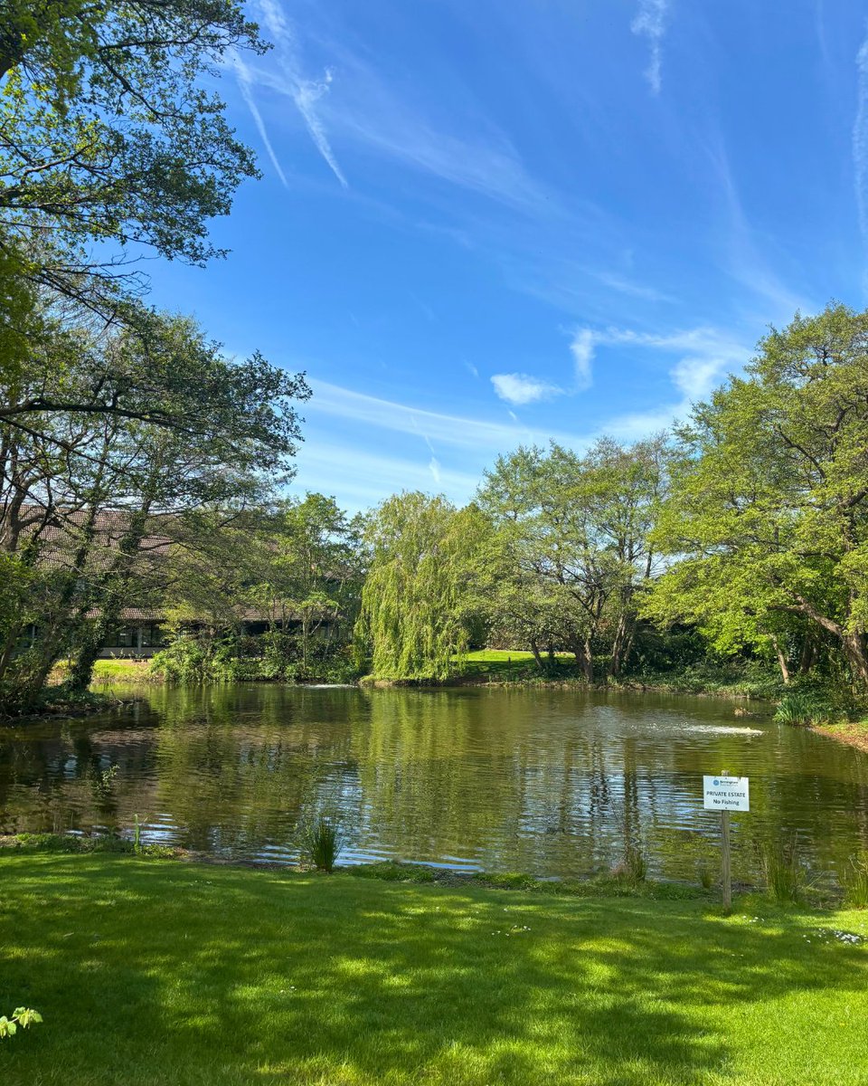 birmingham_bp's tweet image. Summer has officially arrived, and with it, the park is coming into its own. Don’t forget to join us on Thursday 26th June for our Bingo event. To book, please visit the link in bio. 

#birminghambusinesspark #hellosummer #summerishere