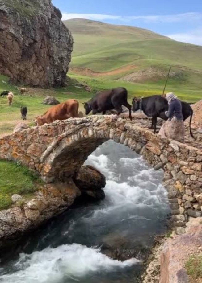 Günaydın. Mutlu haftalar 🍃🌺🍃🍃

#Karadeniz
#Gümüşhane
#TaşköprüYaylası