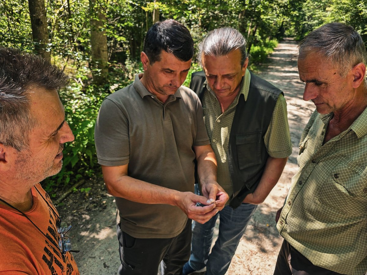 RNP_Romsilva's tweet image. 🌳 Frasinul, arbore valoros, e grav afectat de boli și schimbări climatice.
La #OcolulSilvicSturzeni intervenim responsabil: monitorizare, extragere arbori uscați, reîmpădurire cu specii rezistente.
🌱 Acționăm pentru păduri sănătoase!
#Frasin #Romsilva #SilviculturăResponsabilă