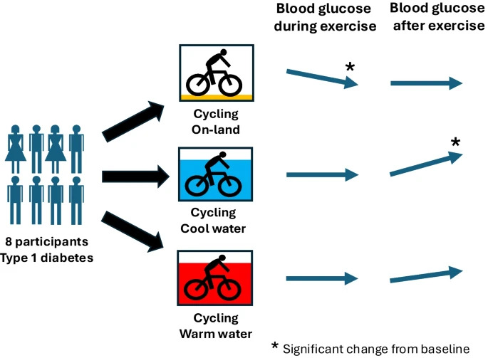 Moderate exercise in a basal insulinaemic state does not affect blood glucose (BG) in cool or thermoneutral water but lowers BG during on-land exercise in #T1D. After exercise, BG increases in cool water #Type1Diabetes #hyperglycaemia link.springer.com/article/10.100… 🔓