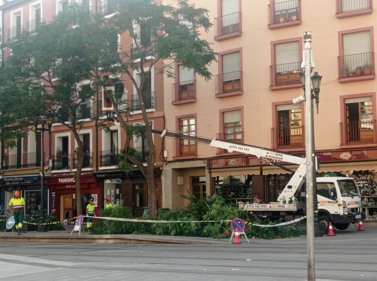 Cómo duele ver esto...
#MotosierraChueca