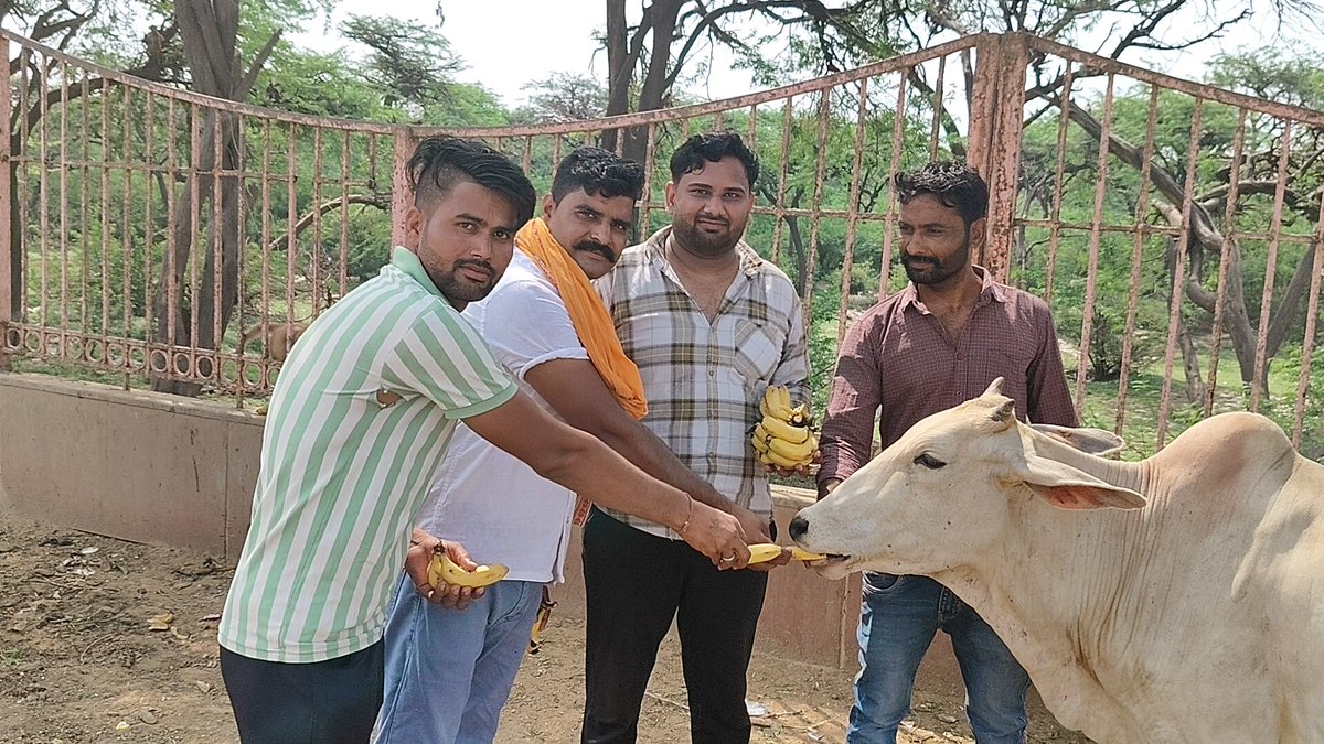 MSurajmal1's tweet photo. आज महाराजा विश्वेंद्र सिंह जी के जन्मदिन पर बरौली चौथ के युवाओं ने गिर्राज जी की तलहटी में महाराज साहब के उत्तम स्वास्थ्य व लंबी उम्र के लिए पूजा अर्चना कराई। उसके बाद गाय व बंदरों को केला वितरित किए।
अंत ���ें महाराजा सूरजमल जी की प्रतिमा पर सभी को मिठाई वितरित कर  जन्मदिन मनाया https://t.co/Aj8B3Qlo1P
