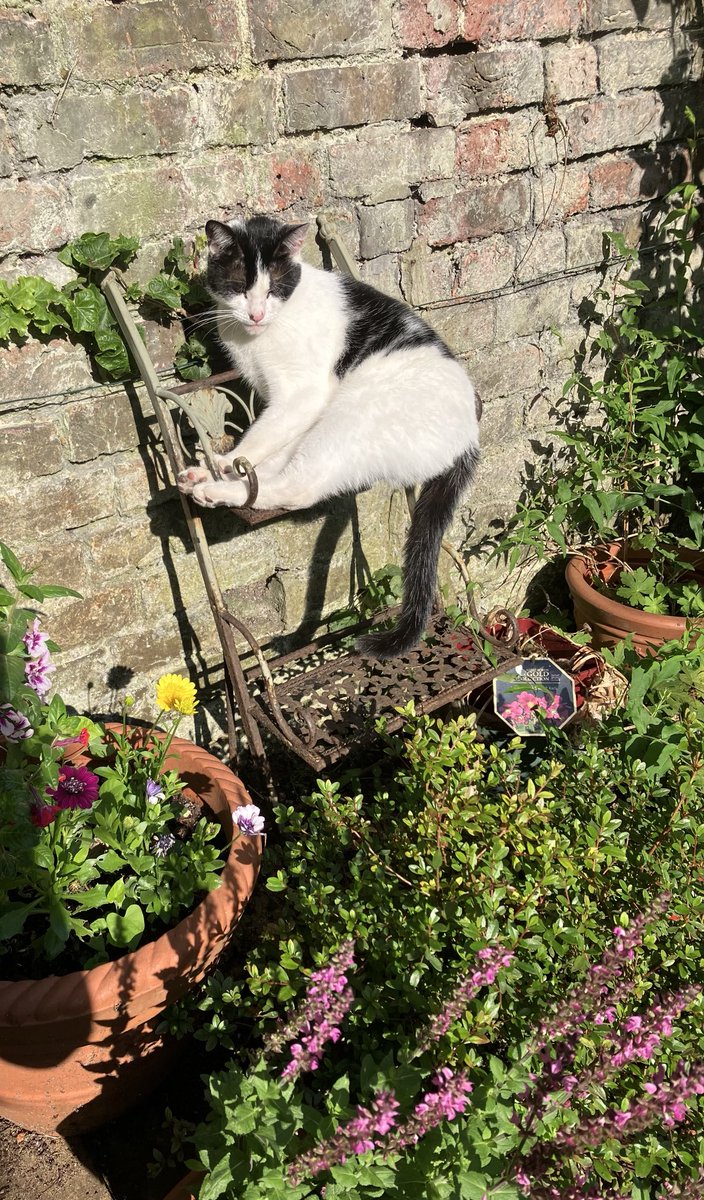 Unexpected item on the plant stand