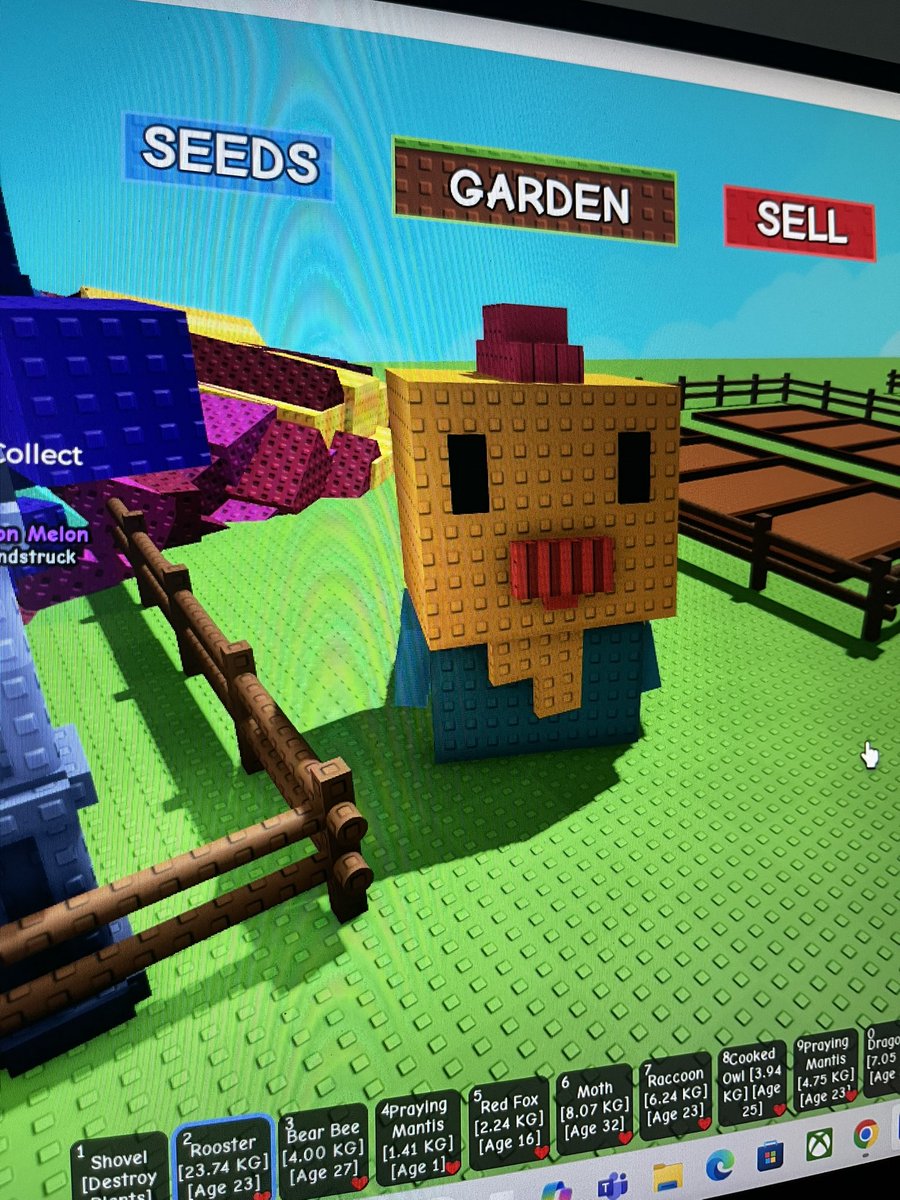 🟤˜”*°• Pepper •°*”˜🟤 tweet media