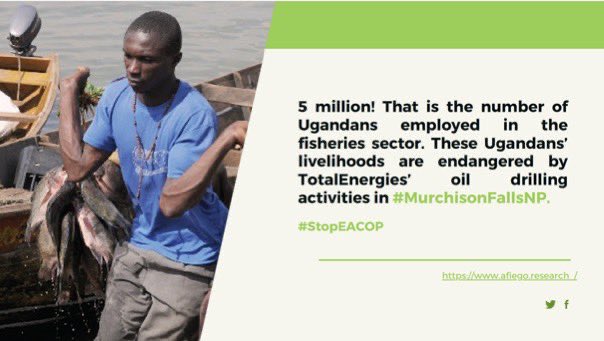 ASIIMWEMAR34811's tweet image. Let’s raise our voices for justice and sustainability!
Communities deserve to live free from exploitation and land grabbing.
Say no to harmful oil projects—our future depends on clean, fair energy.
#StopEACOP #LandRights #JustTransition #YECA