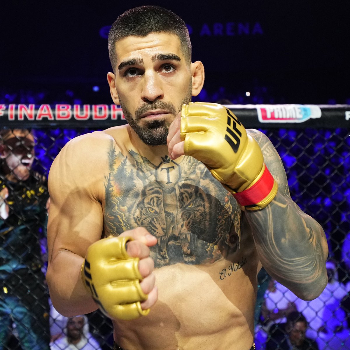 UFC Europe tweet media