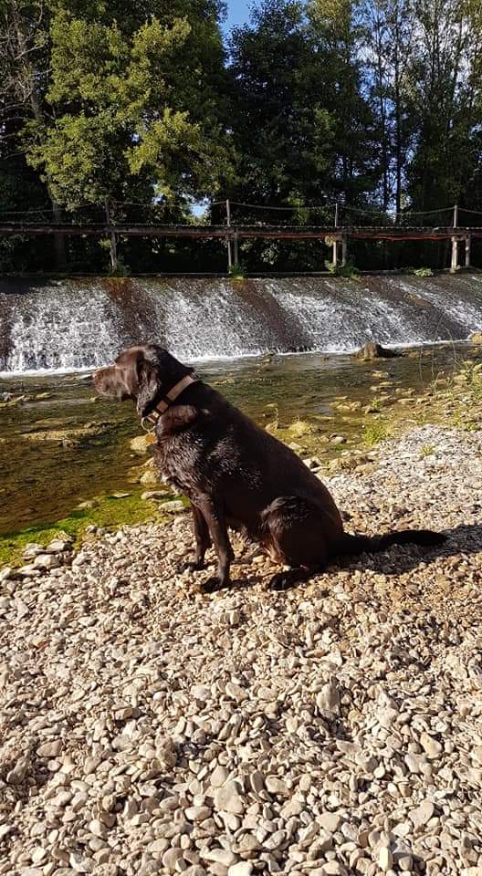 13 jaar geleden werd mijn grote zus geboren. Maak er een mooi feestje van op de Aeolus <a href="/BOtrbb/">Aeolus 🐶 🌈 (voorheen Odyssee)</a> Lieve Lara, je wordt hier enorm gemist. 💔