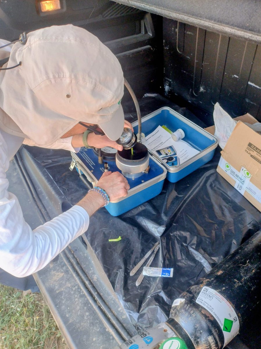 Iniciamos en #VITISAD2 @CTPPOCTEFA las primeras medidas de potencial hídrico foliar para evaluar el estado hídrico de los ensayos de riego en 🇪🇸 y 🇫🇷. 
Tomaremos como referencia los resultados de campo para correlacionarlos con imágenes satelitales 📡