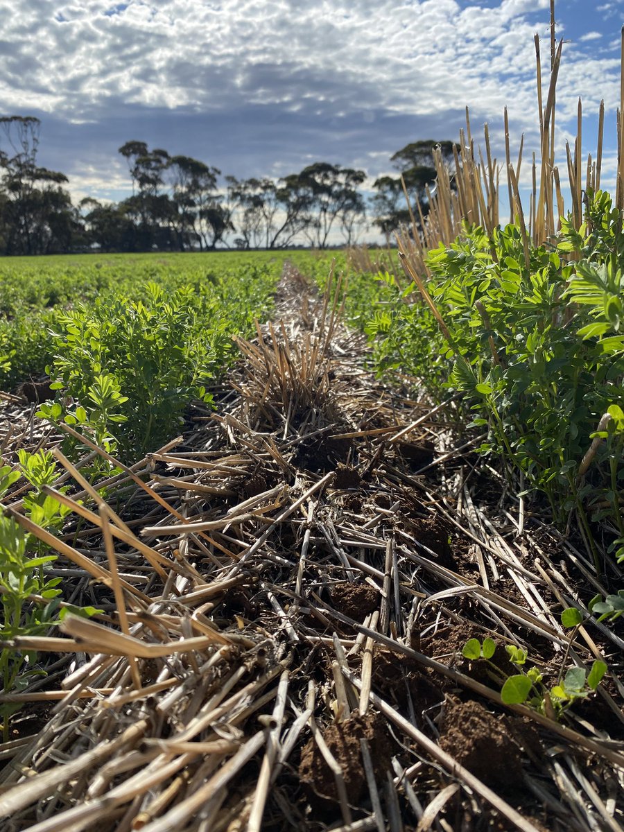 Bec Marshall tweet media