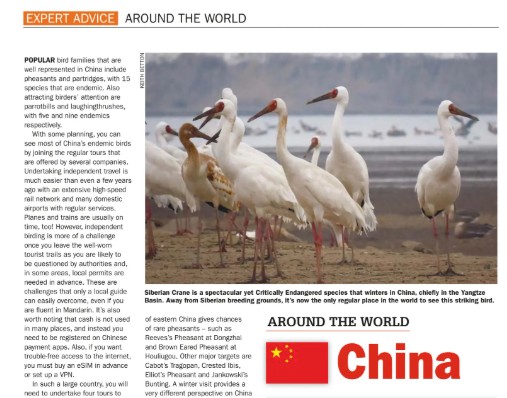 Continuing with my regular destination page in Birdwatch - read all about China in the July issue - out this week