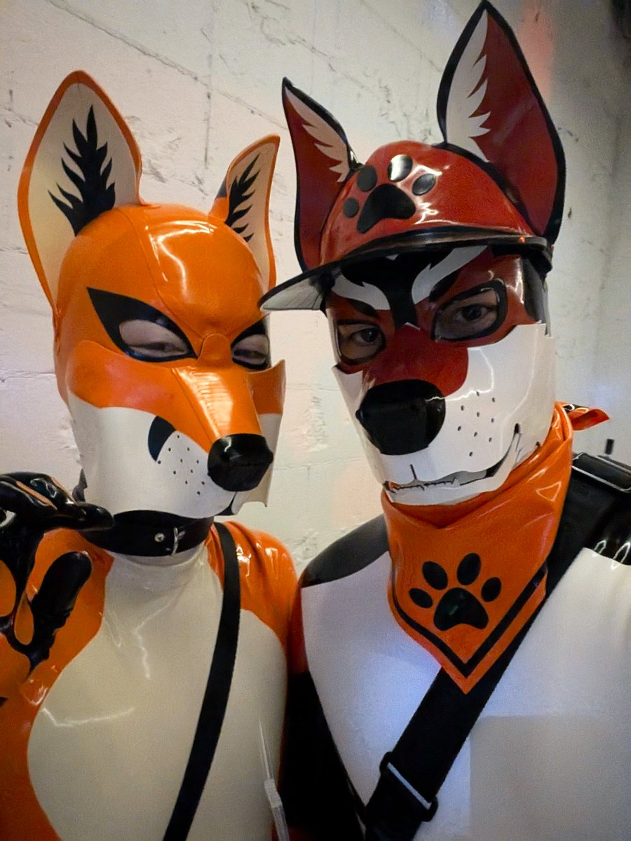 FORFUNのMr.Sさんとツーショットを撮ったり、撫でてもらったりしちゃいました！🦊🐶
すごく嬉しかったし、これからもFORFUNを応援したいと思いました！
<a href="/Rubberforfun/">Mr.S Rubberforfun</a> 

#GFZ_Tokyo