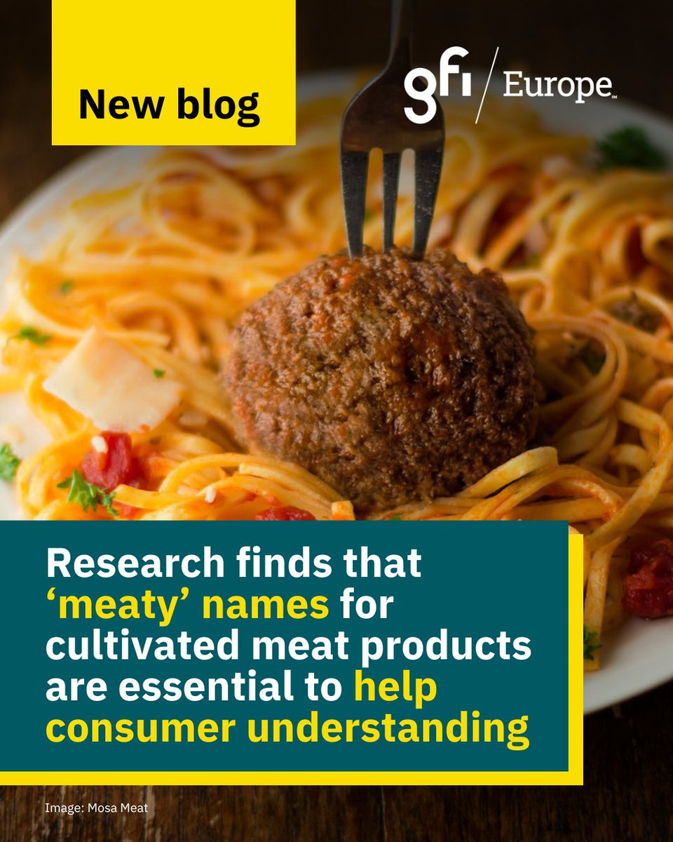 🥩📝What nomenclature and labelling will best support consumers to make informed decisions on purchasing cultivated meat in Europe?
Our latest blog breaks down the key findings from groundbreaking new research with <a href="/OpiniumResearch/">Opinium</a>.
Learn more: 
gfieurope.org/blog/research-…