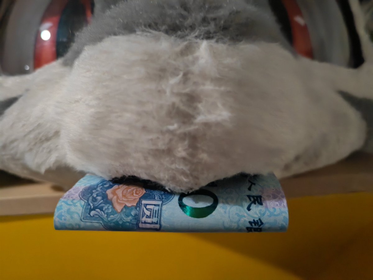 来财，来