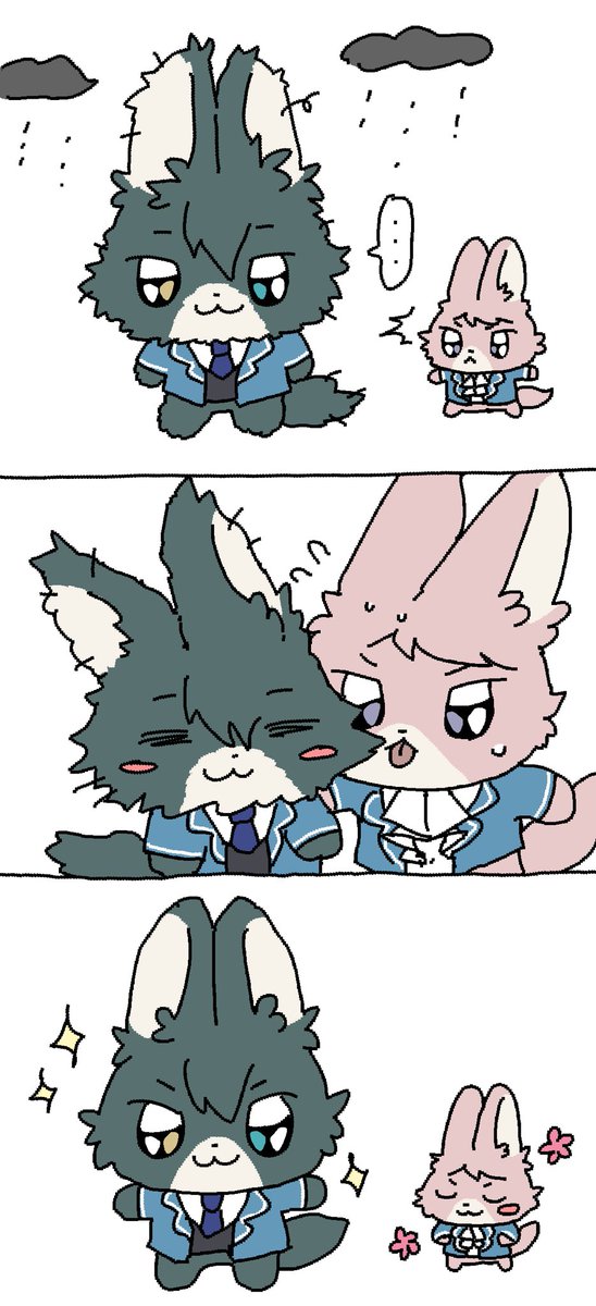 장마철의 미카슈 보송누이