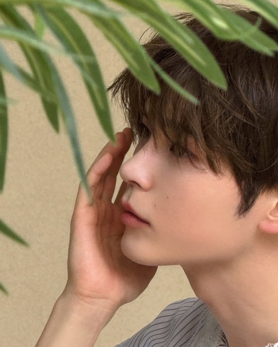 There’s this playful thing about summer shoots, and the plants try to steal the spotlight. I find myself smiling at how nature has its way of joining in. Björk and Berries always bring out these unexpected little joys, making every shot feel unique and fun to remember.