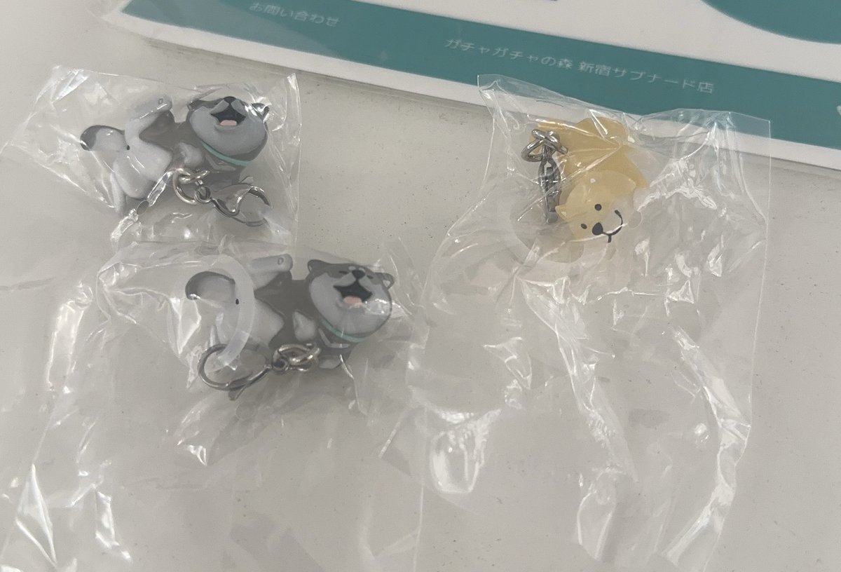 imkarry_'s tweet photo. @co_5m 初めまして。検索より失礼いたします！
当方くろしばんばんを所持しているのですが、あかしばんばんAとの交換は可能でしょうか？
袋を開けてしまっているため、本体のみの交換でご検討いただけますと幸いです🙇🏻‍♀️ https://t.co/kI5xs4zjWX