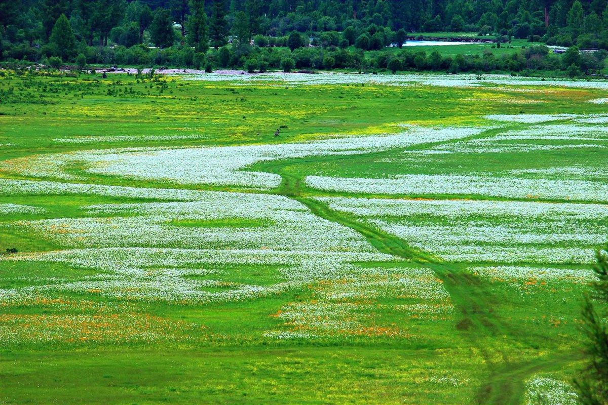 Хөвсгөлийн Цагаан-Үүр суманд яг одоо ийм байна шүү!
Хатгалаас Жанхай явах замд ойруу ороход бас ийм л байгаа.