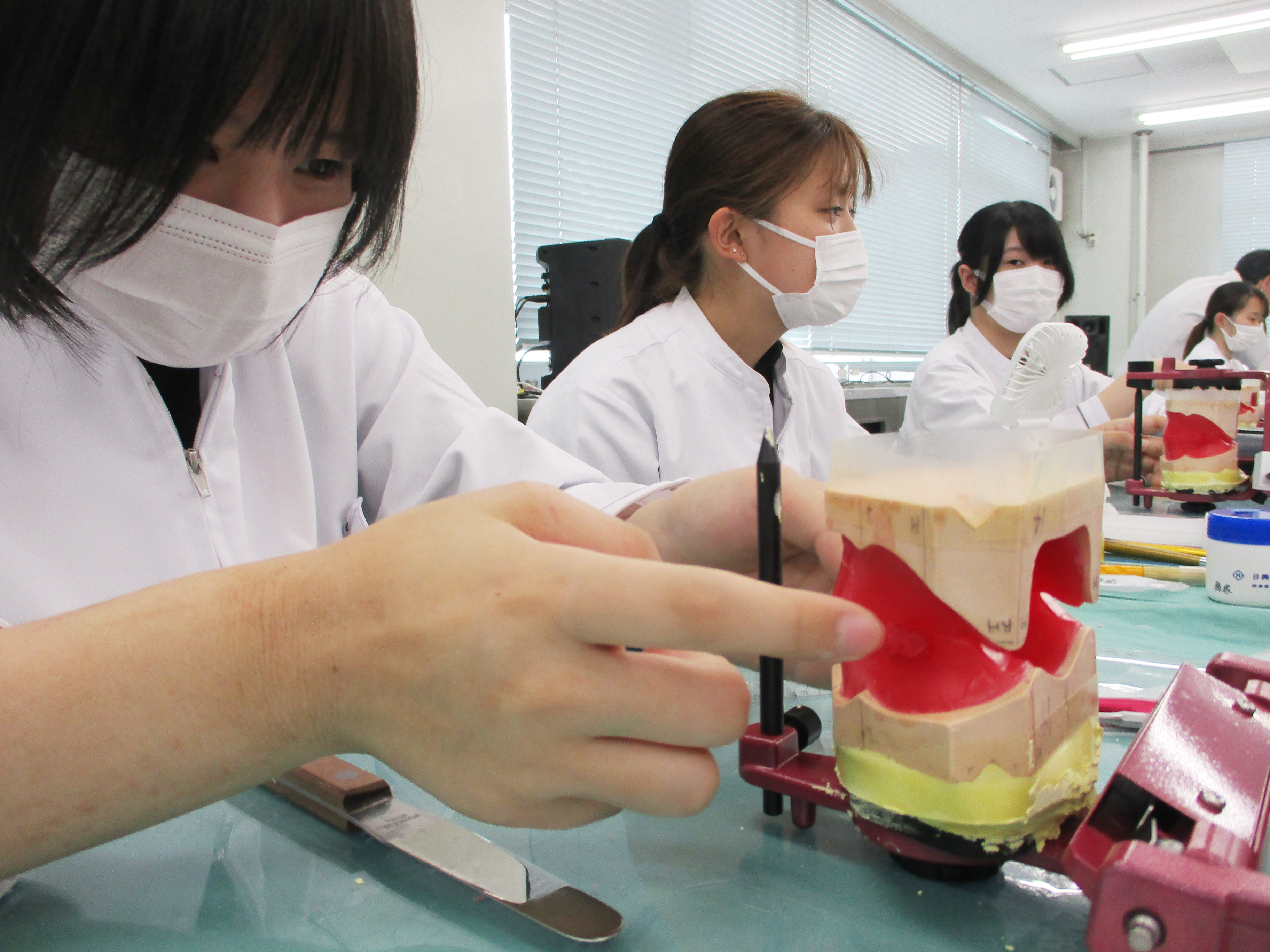 埼玉歯科技工士専門学校【公式】 on X: 