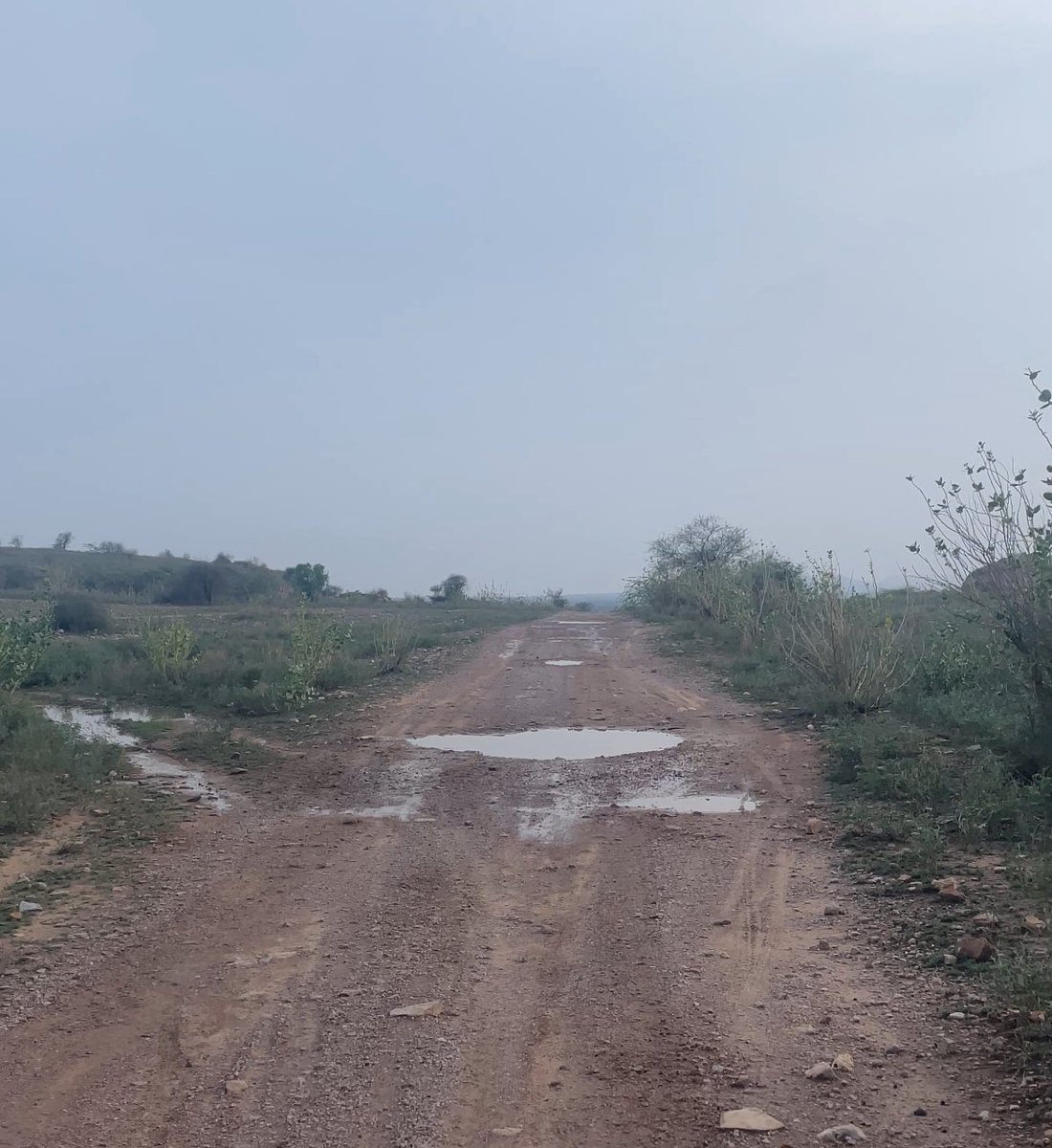 RamniteshSaran's tweet photo. सड़क नहीं संघर्ष का रास्ता – खारिया खंगार से डुकियो की ढाणी गोटन मार्ग की दुर्दशा!

खारिया खंगार (जिला जोधपुर):
खारिया खंगार से पीर बाबा जी की दरगाह होते हुए डुकियो की ढाणी और गोटन की ओर जाने वाला मुख्य मार्ग इन दिनों बुरी तरह से जर्जर हो चुका है। https://t.co/VVkJlwbMBH
