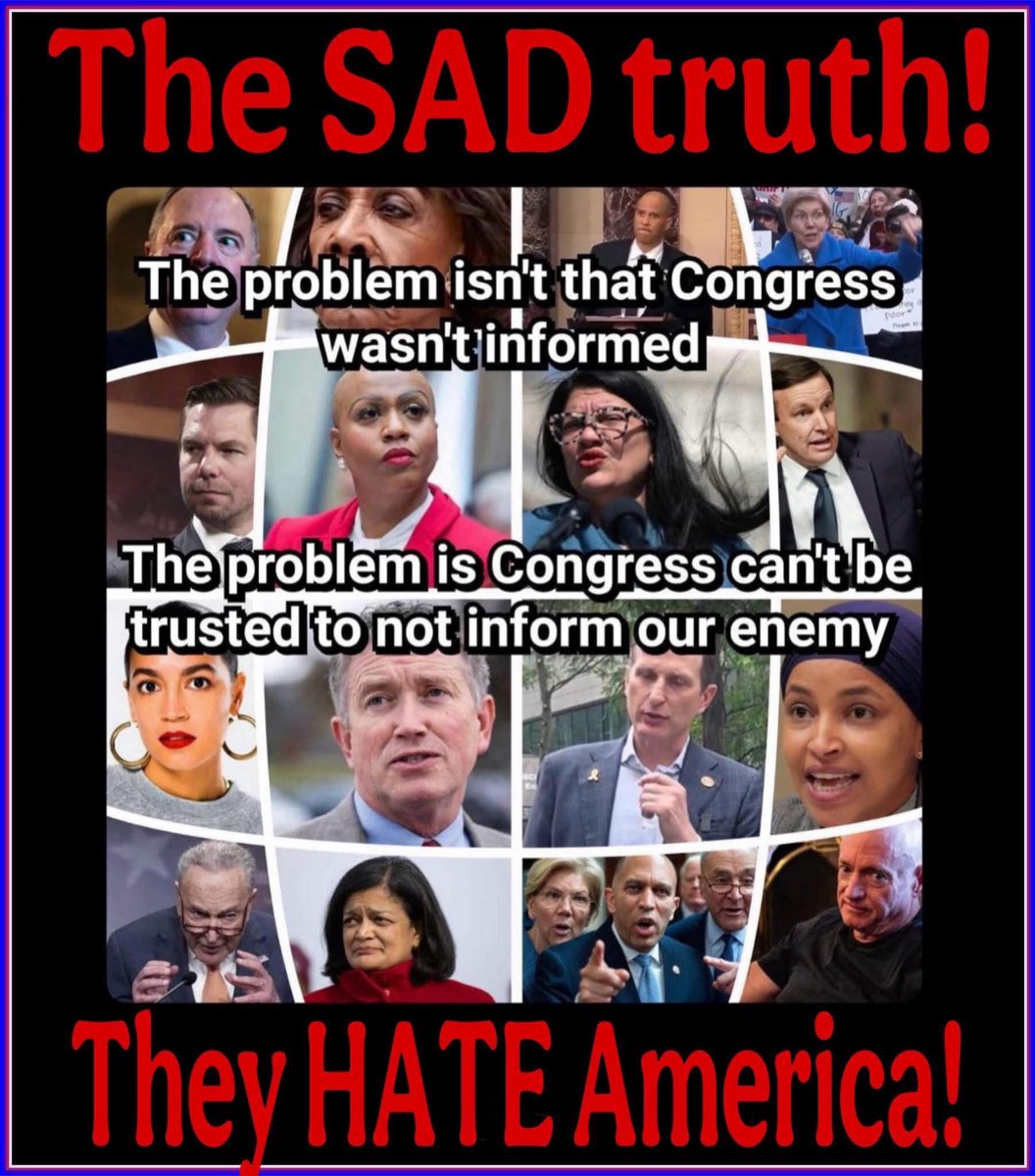 AmericanPatriotRule tweet media