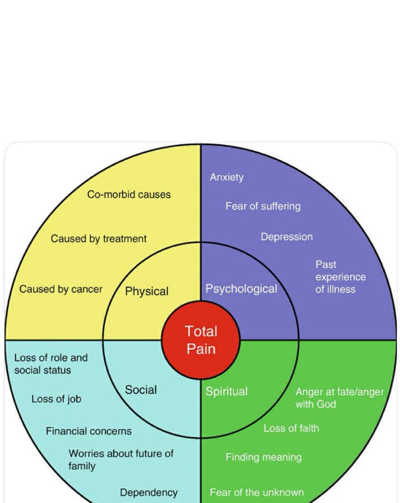 Michał (@michalruminskii) on Twitter photo Diagram „Total Pain” (całkowitego cierpienia), stworzony przez Dame Cicely Saunders – pionierkę opieki paliatywnej. Ból wg Cicely doświadczany przez pacjenta w opiece paliatywnej ma charakter wielowymiarowy i nie ogranicza się wyłącznie do komponentu fizycznego
<a href="/FilipMSzymanski/">Prof. Filip M. Szymanski</a> Diagram „Total Pain” (całkowitego cierpienia), stworzony przez Dame Cicely Saunders – pionierkę opieki paliatywnej. Ból wg Cicely doświadczany przez pacjenta w opiece paliatywnej ma charakter wielowymiarowy i nie ogranicza się wyłącznie do komponentu fizycznego
<a href="/FilipMSzymanski/">Prof. Filip M. Szymanski</a>
