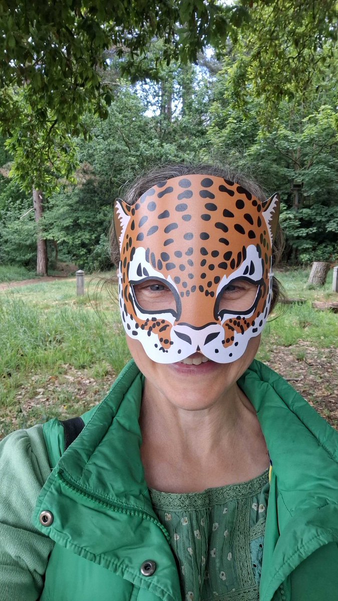 Forests and peoples' livelihoods are being trashed by exploitative UK supply chains - we need a new law to hold companies to account and put #PlanetOverProfit! People of Norfolk please sign our petition actionnetwork.org/petitions/norw… 💚