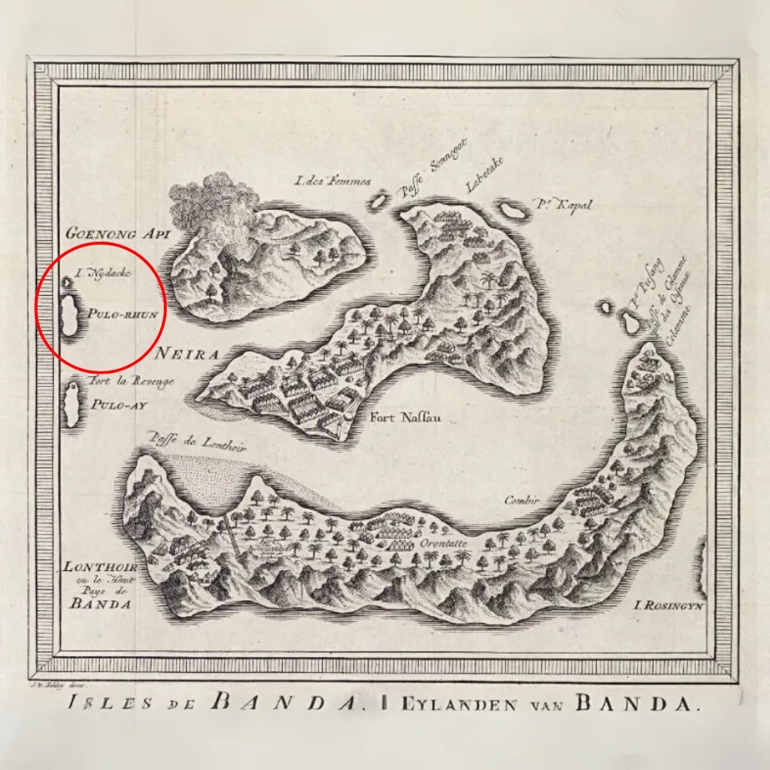 GWirjawan's tweet photo. Between 1665 and 1667, a small island in Eastern Indonesia sparked a war between the British and the Dutch during the Anglo-Dutch Wars. Culminating in what we now remember as the Treaty of Breda.

At that moment, Southeast Asia, Indonesia stood at the center of global attention. And archipelago's natural richness, its biodiversity, captivated those seeking more than trade.