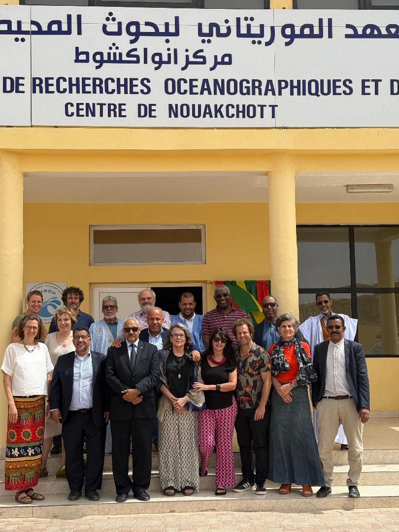 IEO_Cadiz's tweet photo. 🌍Personal del @IEOoceanografia participa en el Comité Científico Conjunto UE-Mauritania celebrado en           Noakchott (Mauritania).

👥En representación del #IEO - @CSIC la compañera @egisarch  del @IEOCadiz y Javier Rey y Lourdes Fernández del @IEO_Malaga. https://t.co/37vTqqel6n