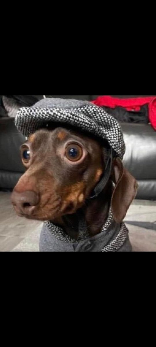 Occupying STATEHOUSE and "SAFE" protest in the same sentence.🥴🥺