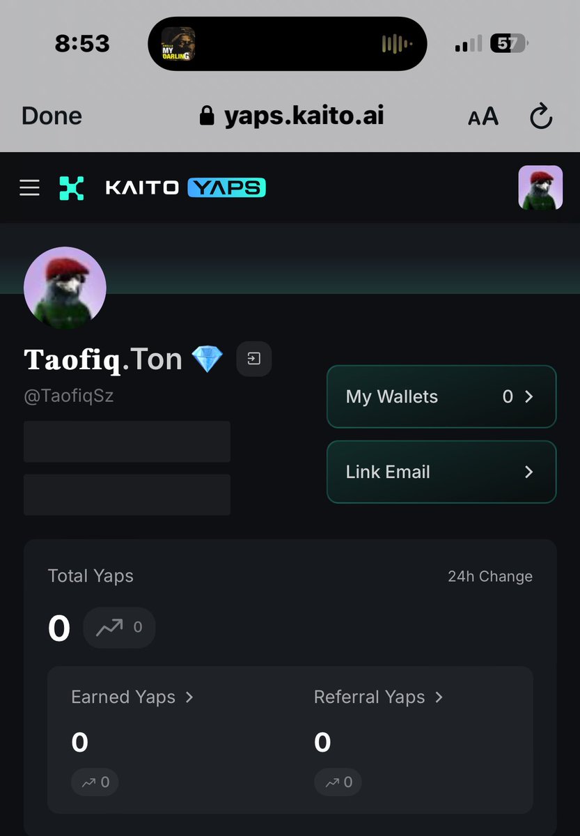 Despite my constant yapping of <a href="/KaitoAI/">Kaito AI 🌊</a> and TG NFT GIFS, I still have zero Kaito yaps, any solutions?