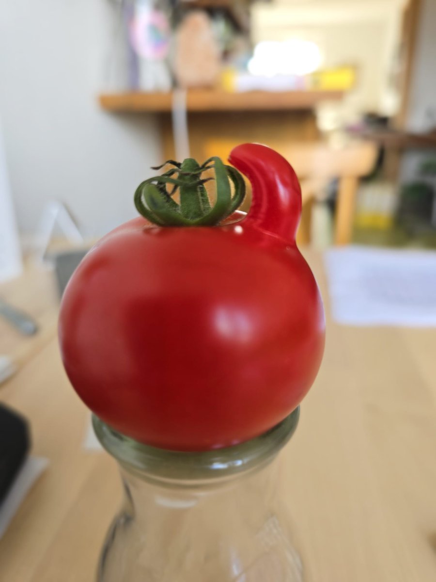 Timeline cleanse. 
Here's a picture of a funny looking, happy tomato - my friend grew in #Germany #ComedyFruit