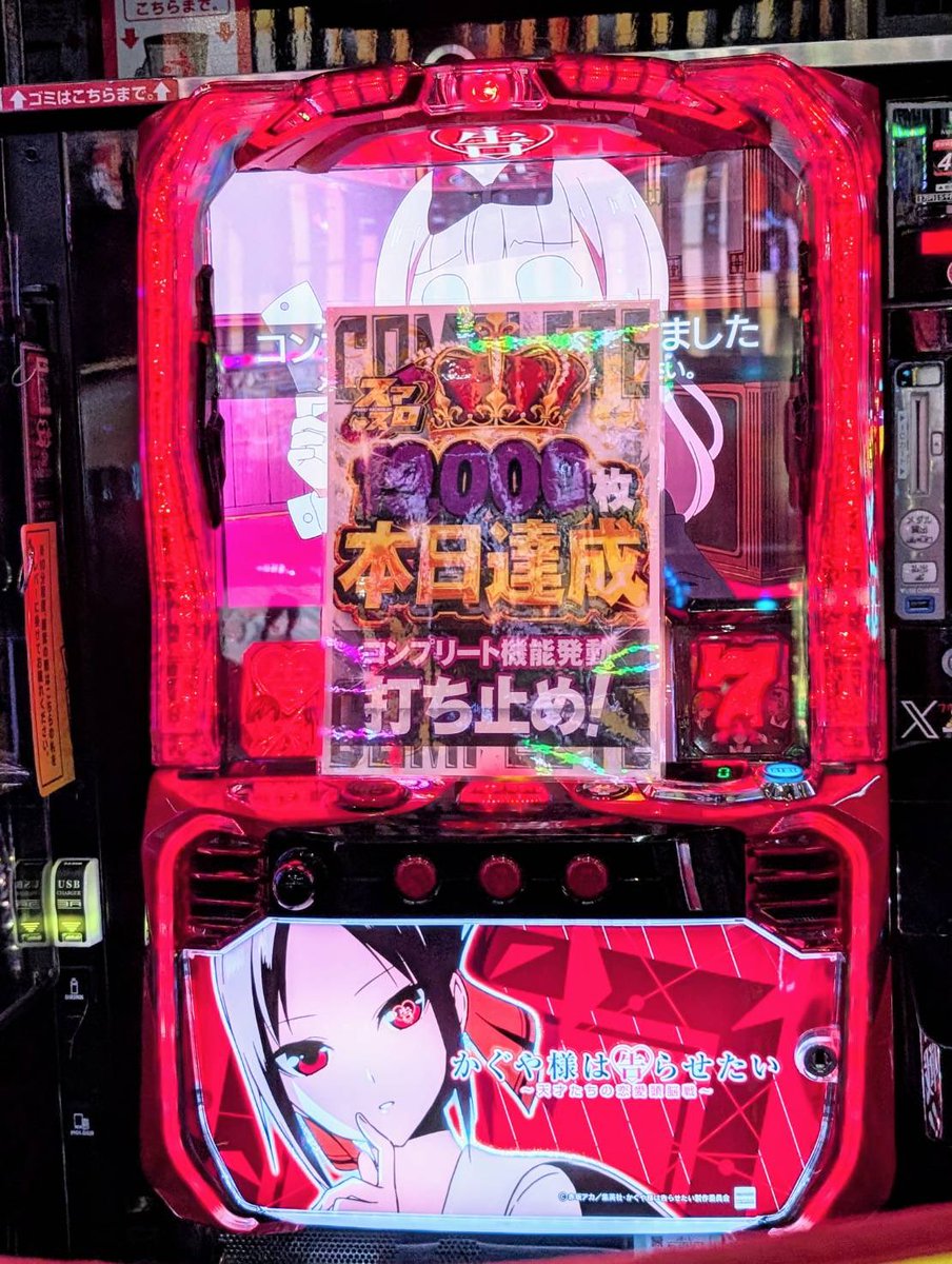 かぐやページ 屋久杉 / 2つの内部機構を持つ新感覚の木軸ペン SINPEN / MP&BP