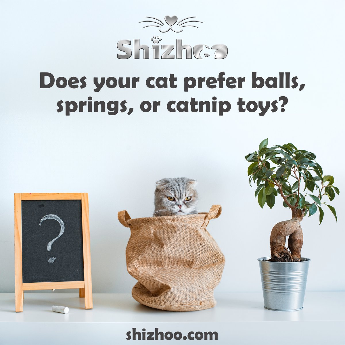 shizh00's tweet image. SHIZHOO | Springs bounce, balls roll, catnip… well, catnip wins every time. 😸🌿 Get Shizhoo Catnip for your feline friend now! amazon.com/dp/B0DJRB2ST4
#shizhoo #catnip #catniphigh #catlovers