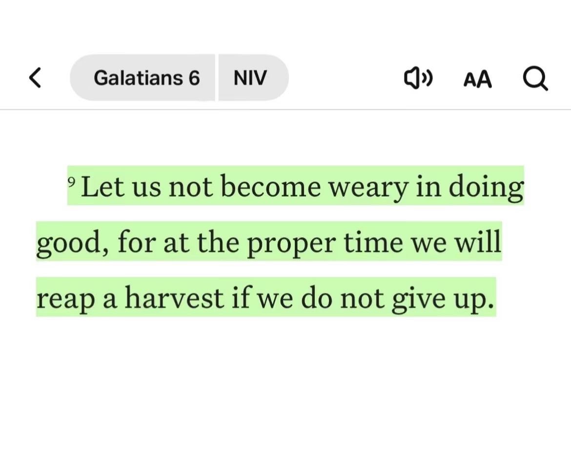 Bible 365 (@bible365_) on Twitter photo 