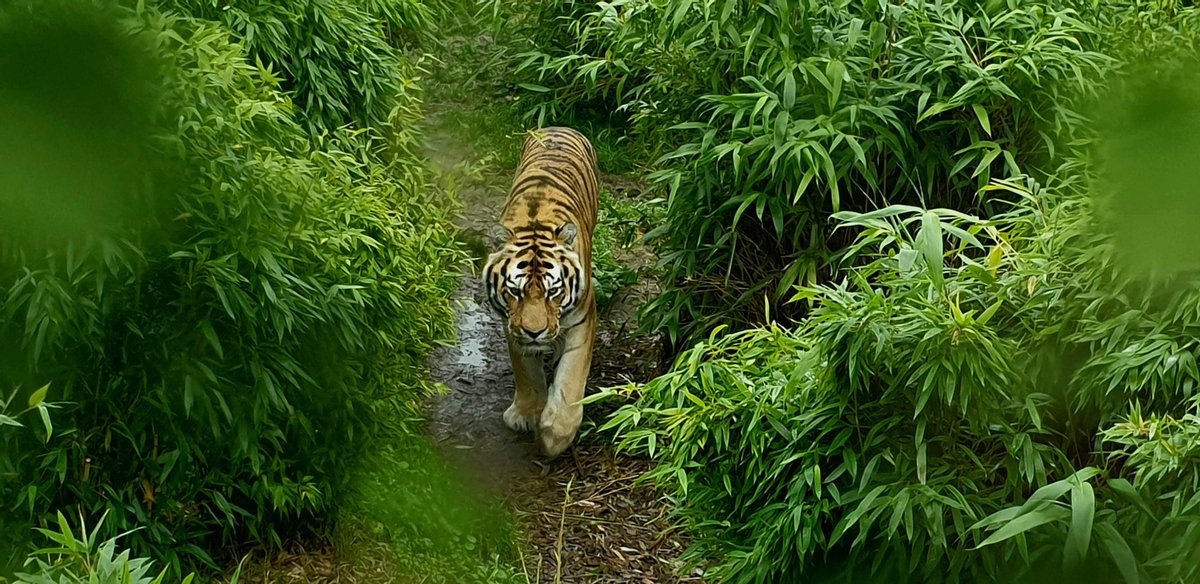 <a href="/DailyPicTheme2/">Daily Picture Theme</a> Today's theme is wild life.

<a href="/DailyPicTheme2/">Daily Picture Theme</a>