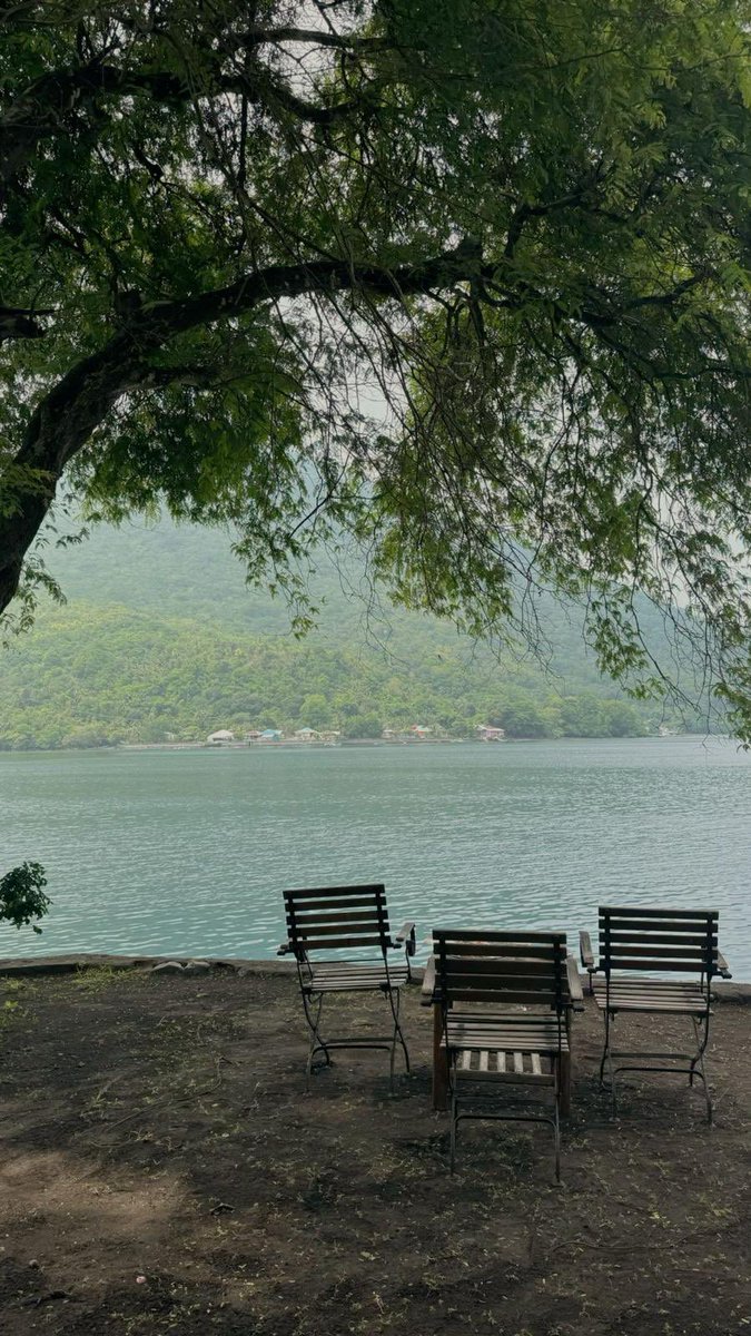 “Fotoğrafa baktım ve ilk seni düşündüm, 
gerçi ben güzel olan neye baksam 
ilk seni düşünürüm.”
