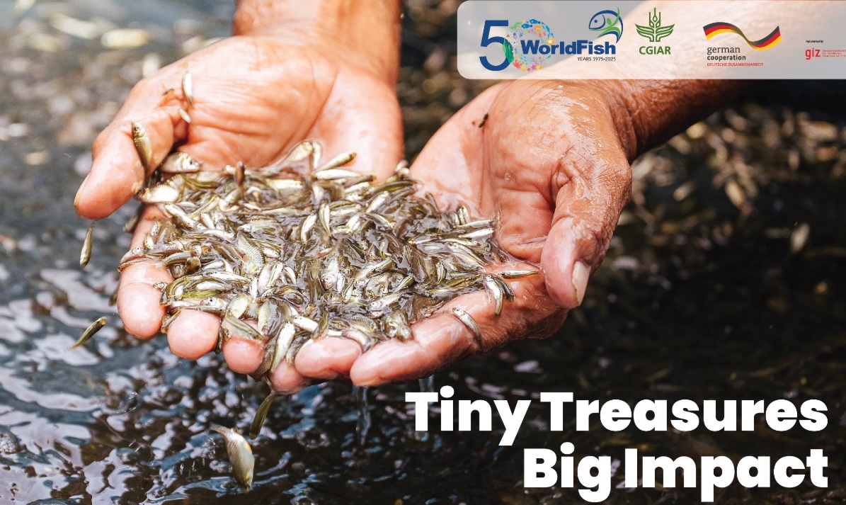 📣 Successfully wrapped the “Taking Nutrition-Sensitive Carp–SIS #Polyculture Technology to Scale” project, funded by <a href="/BMZ_Bund/">Bundesentwicklungsministerium</a> <a href="/giz_gmbh/">GIZ</a>.

While impactful, the work must be continued.

▪️Photo book: tinyurl.com/WFPub2506c
▪️Project page: tinyurl.com/WFNews2506i

#AquaticFoods