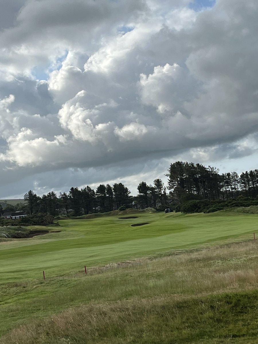 Barassie Greens tweet media