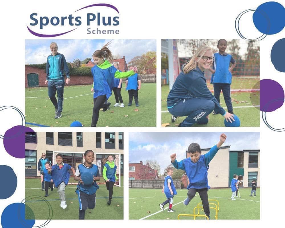 Sports Plus Scheme tweet media